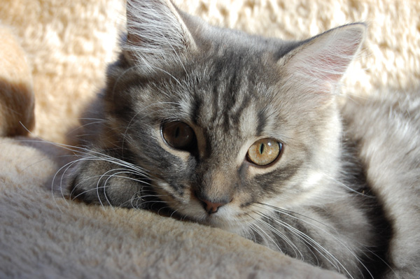 was für ein Blick.jpg